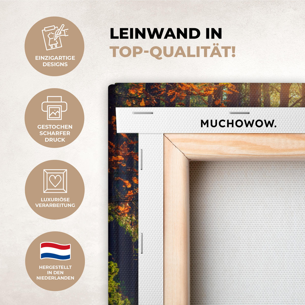 LEINWANDBILD Wald - Herbst - Bäume 40x30 cm - Dunkelgrün, Textil (40/30cm) - MuchoWow