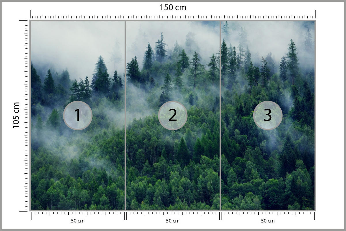 FOTOTAPETE Wald im Nebel Natur Landschaft 3D 150x105 - Grau/Grün, Papier (150/105cm) - Muralo