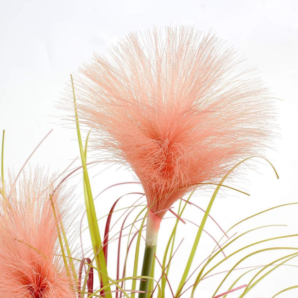 KUNSTPFLANZE Pampasgras Light Coral im schwarzen Topf - Rosa, Kunststoff (8cm)