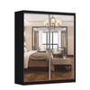 SCHWEBETÜRENSCHRANK Multi 20 Schwarz/Weiß + Spiegel 183 cm - Alufarben/Schwarz, Glas/Holzwerkstoff (183/218/61cm) - imoebel24