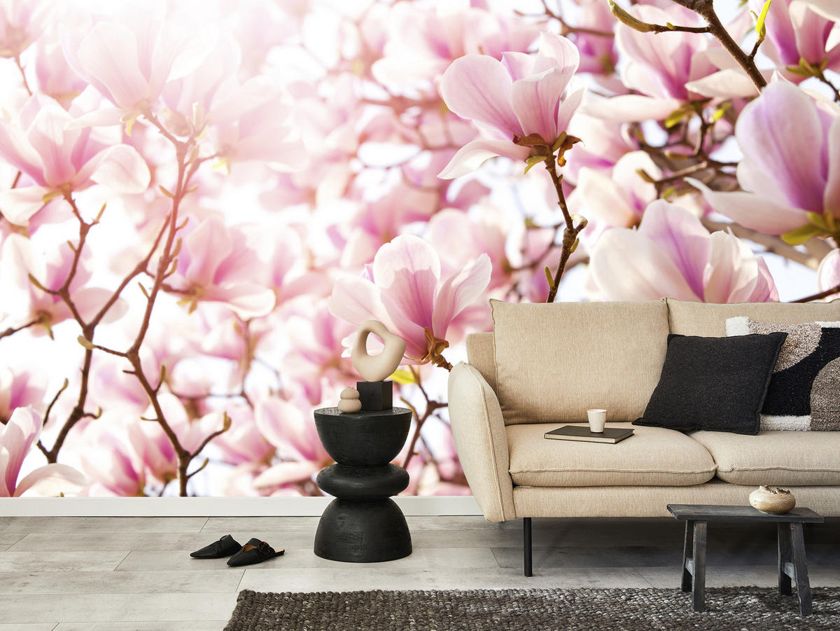 FOTOTAPETA Pre Spálňu Ružové Kvety Magnólie Florálna Jemná 500 x 350 cm - hnedá/ružová, papier (500/350cm) - Muralo