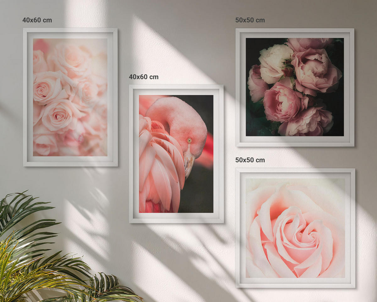 WANDBILDER 4er-Set - 50x50 cm & 40x60 cm Weißer Rahmen - Pastellrosa Flamingos - Weiß, Kunststoff (50/50cm) - ArtPrintCave