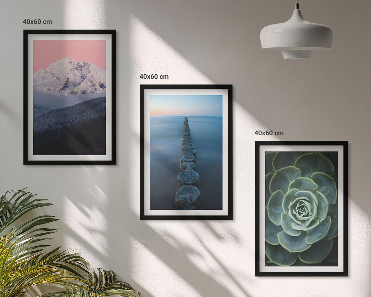BILDER SET 3er Set - 40x60 cm Schwarzer Rahmen - Berge, rosa Himmel, Wasser, Sukkulente - Schwarz, Kunststoff (40/60cm) - TULUP