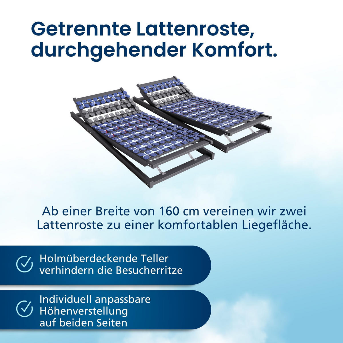 TELLERLATTENROST VERSTELLBAR 140/200 cm - Blau/Dunkelgrau, Holz (140/200cm) - AM Qualitätsmatratzen