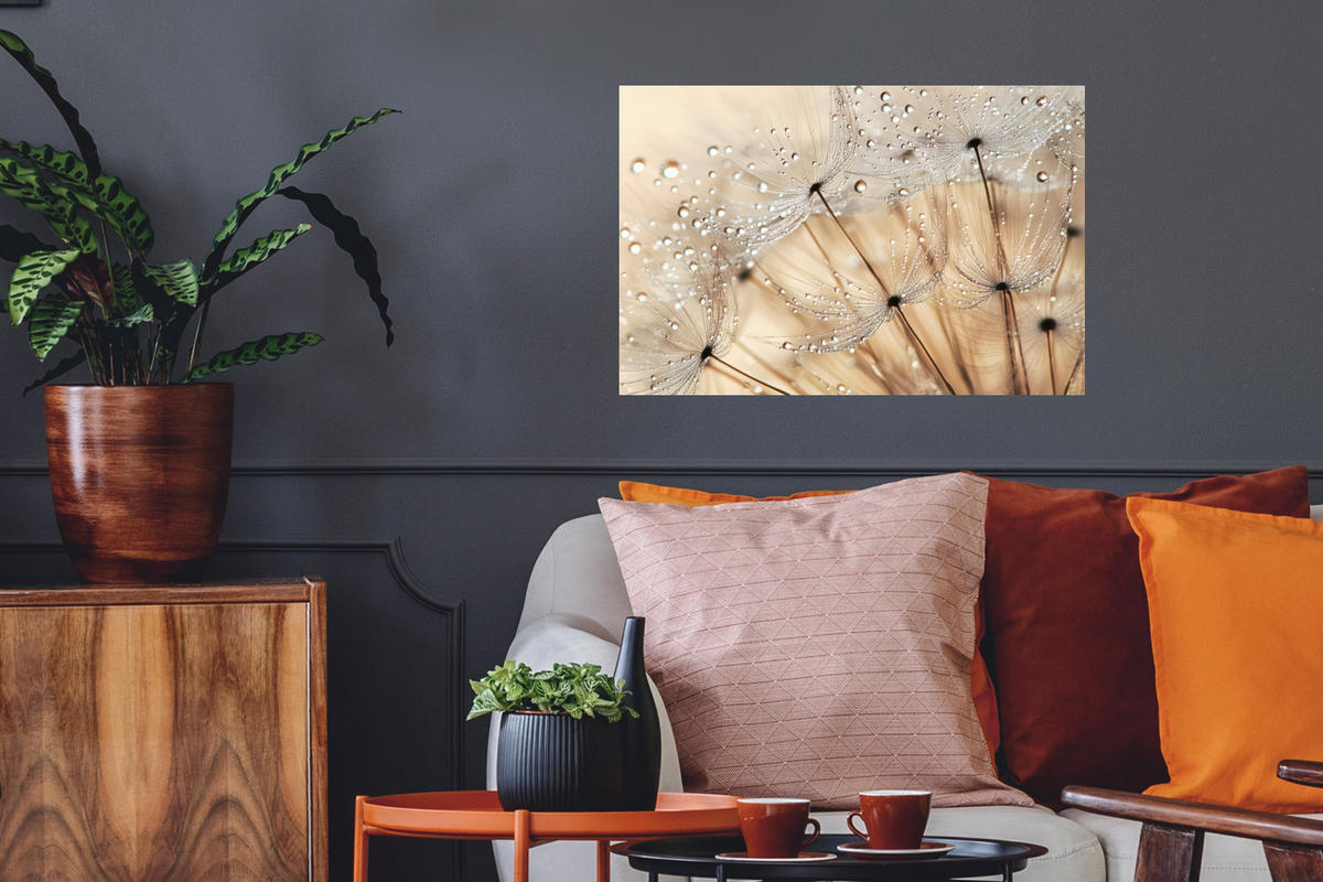 WANDTATTOO Löwenzahn - Abstrakt - Natur - Beige 60x40 cm - Braun, Kunststoff (60/40/0.1cm) - MuchoWow