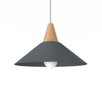 HÄNGELEUCHTE - Anthrazit, Metall (25/25/16cm) - Lumicom