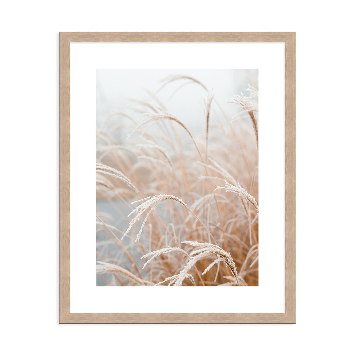POSTER mit Rahmen 40x50 cm Dünengräser beige weiß - Beige, Holz (41/51cm) - artissimo