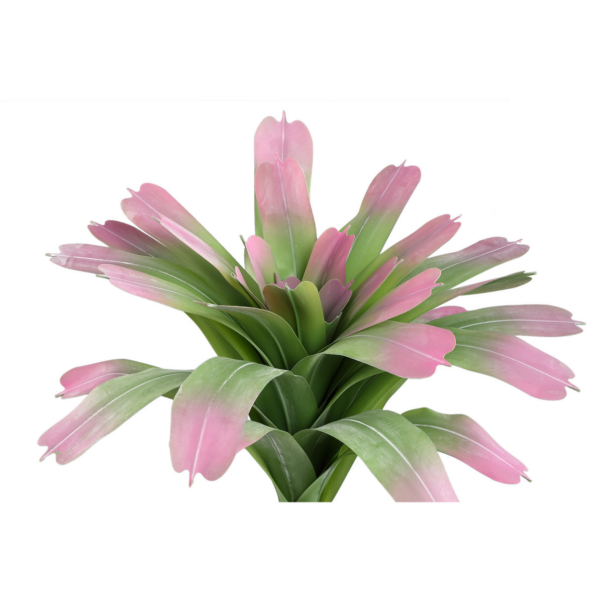 KUNSTPFLANZE Succulent Grün 70/70/60cm - Grün, Kunststoff (60cm) - PTMD Collection