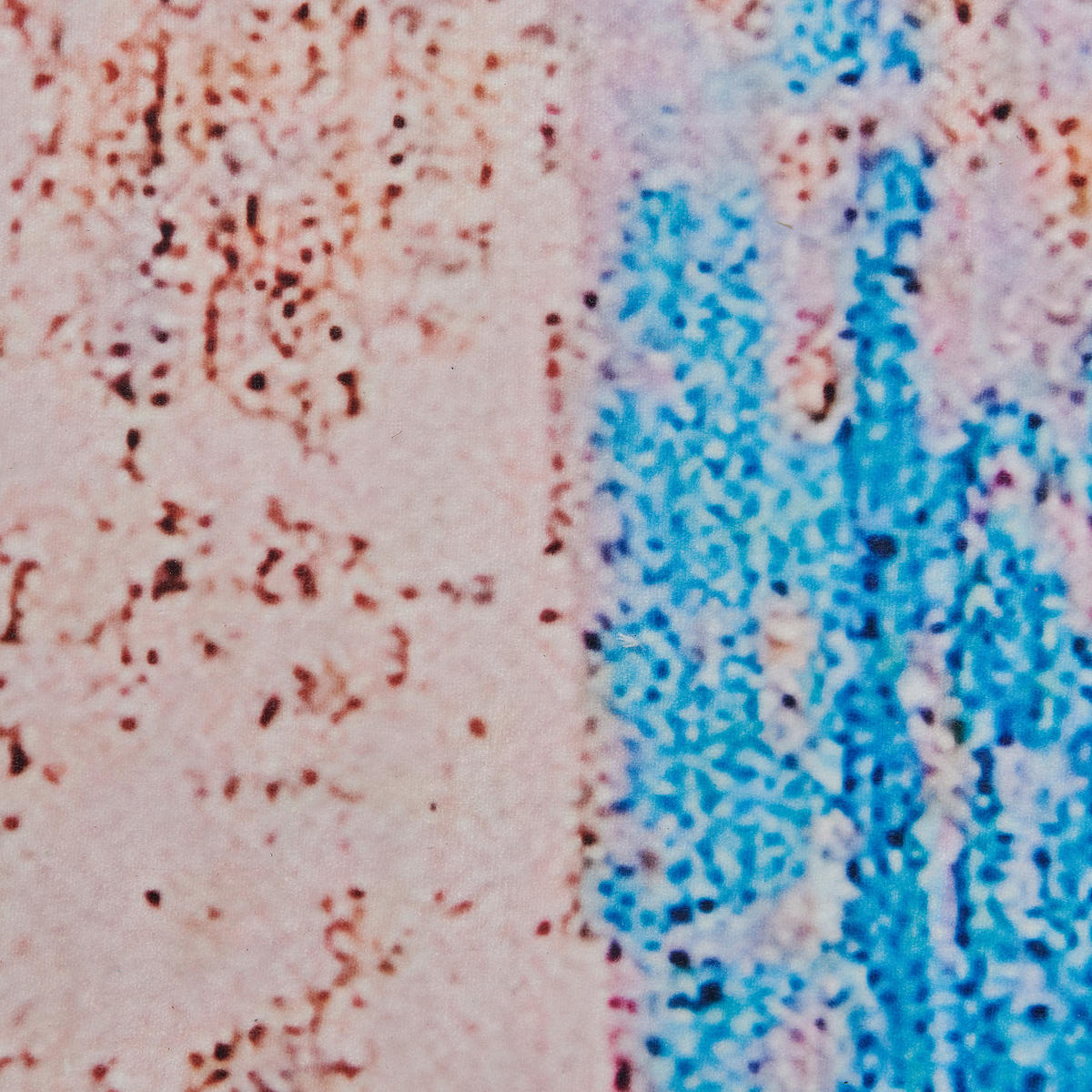 KURZFLOR-TEPPICH Inegol 150/80 cm - Blau, Kunststoff (80/150cm) - Beliani