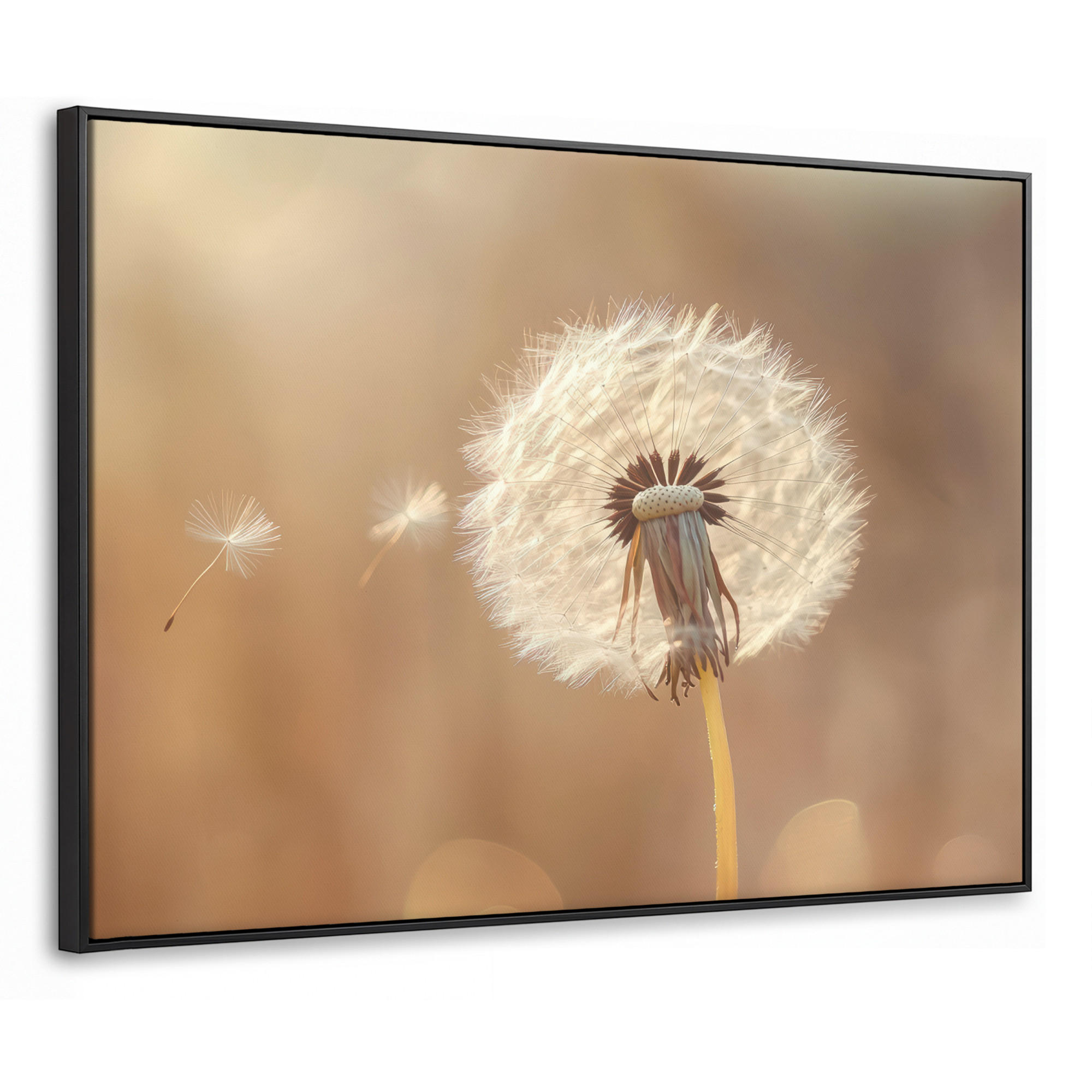 MuchoWow Leinwand Hellbraun 100x70 cm