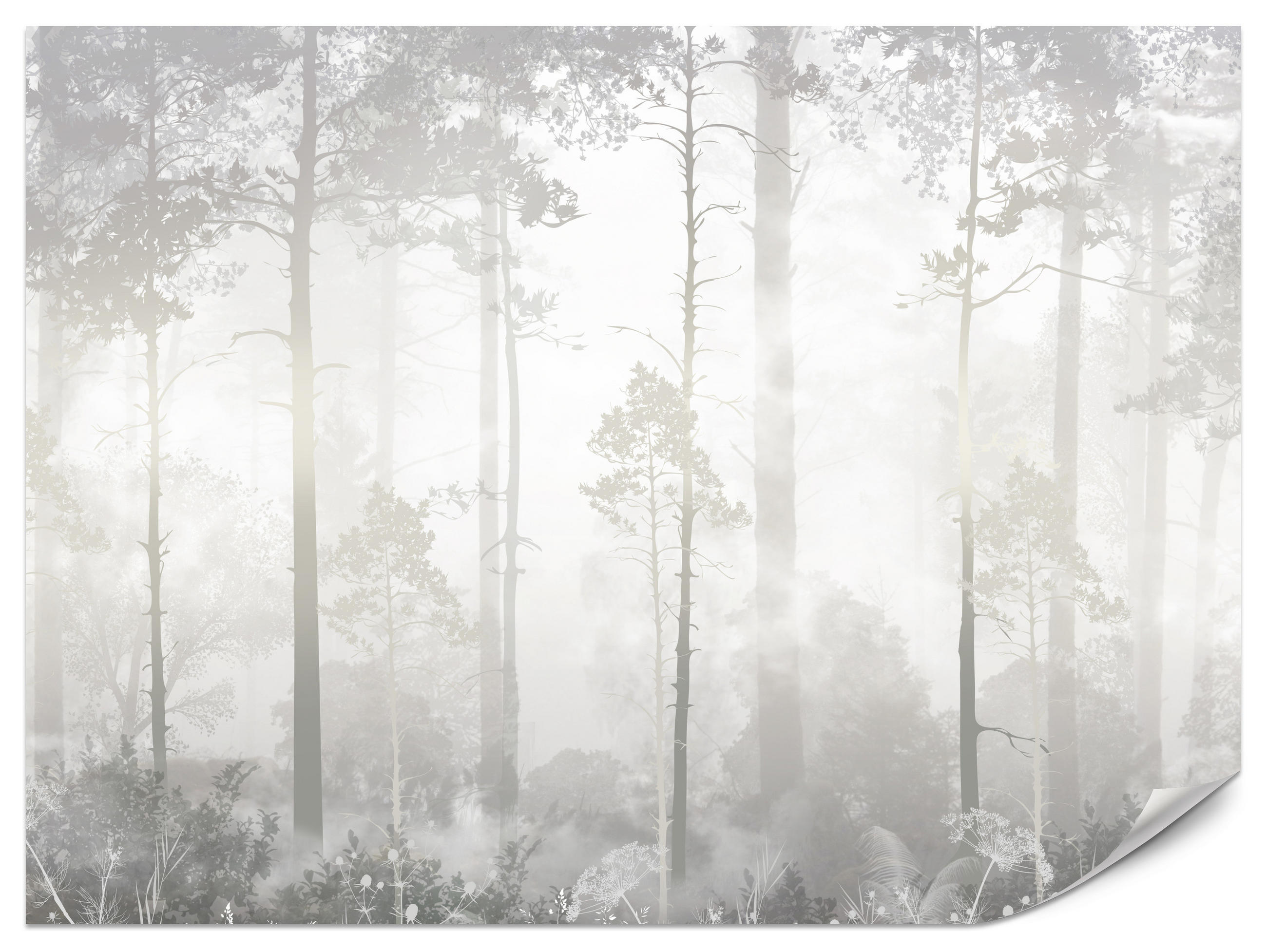 FOTOTAPETE für Schlafzimmer Nebliger Wald Bäume Sträucher Mystik 300x210 - Beige/Weiß, Papier (300/210cm) - Muralo