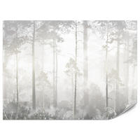 FOTOTAPETE für Schlafzimmer Nebliger Wald Bäume Sträucher Mystik 300x210 - Beige/Weiß, Papier (300/210cm) - Muralo