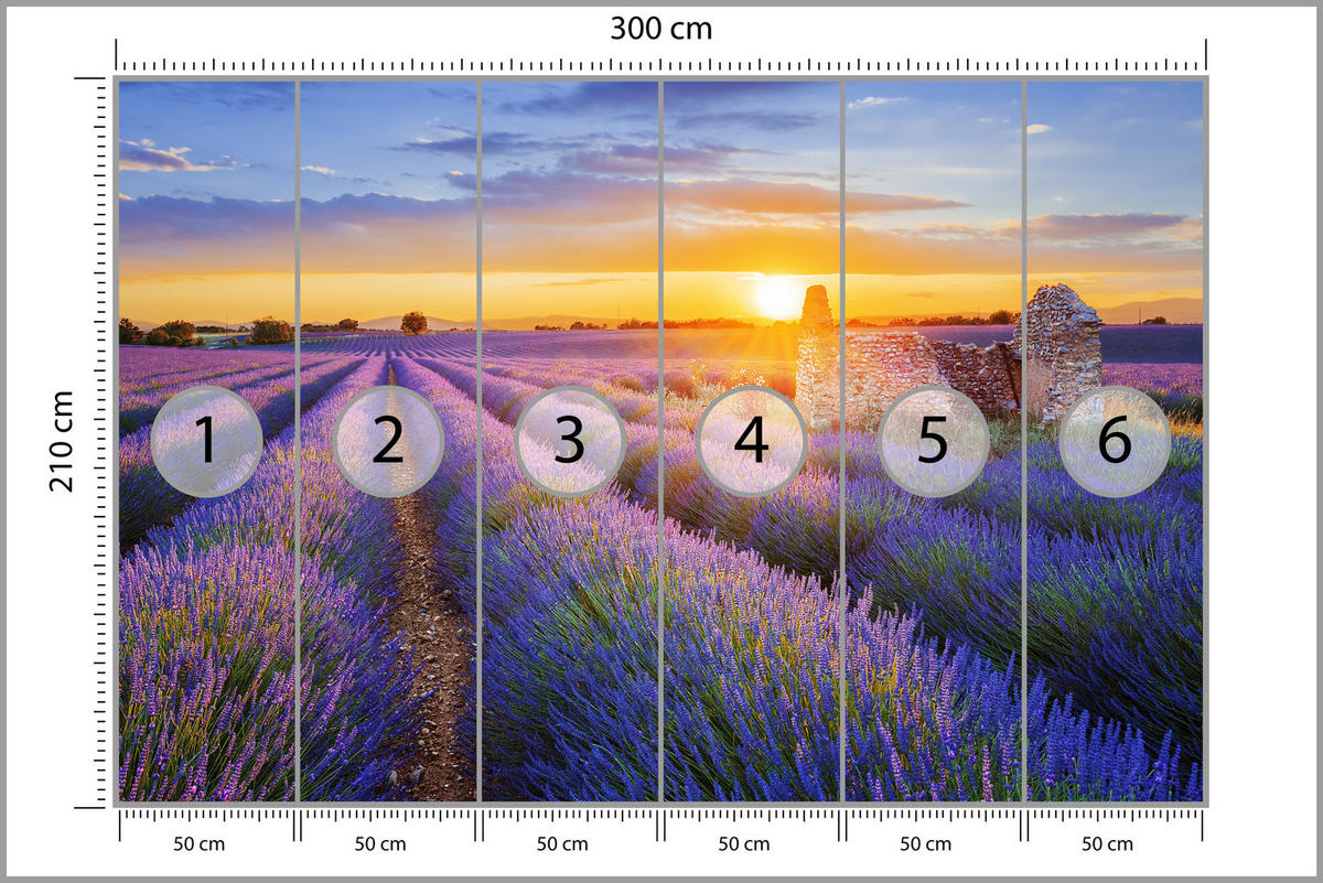 FOTOTAPETE für Wohnzimmer Lavendelfeld Sonnenuntergang Lila 300x210 - Violett/Rosa, Papier (300/210cm) - Muralo