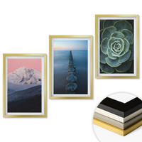 WANDBILDER 3er Set - 40x60 cm Goldrahmen - Berge, rosa Himmel, Wasser, Sukkulente - Goldfarben, Kunststoff (40/60cm) - ArtPrintCave