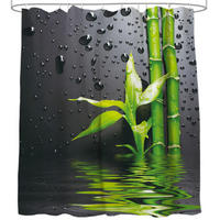 DUSCHVORHANG Virella 180 x 200 cm - Grün, Textil (180/200cm) - Sanilo