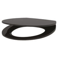 WC-SITZ Slim BCN schwarz Duroplast mit Absenkautomatik - Schwarz, Metall (37/45/45cm) - Delabie