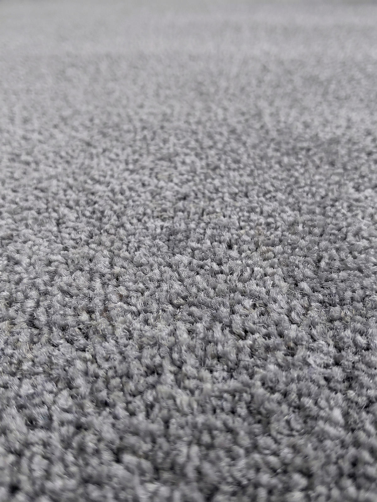 TEPPICH Kurzflor MAIN in Hellgrau, einfarbig, 240 x 340 cm - Grau, Textil (240/340cm) - KADIMA DESIGN