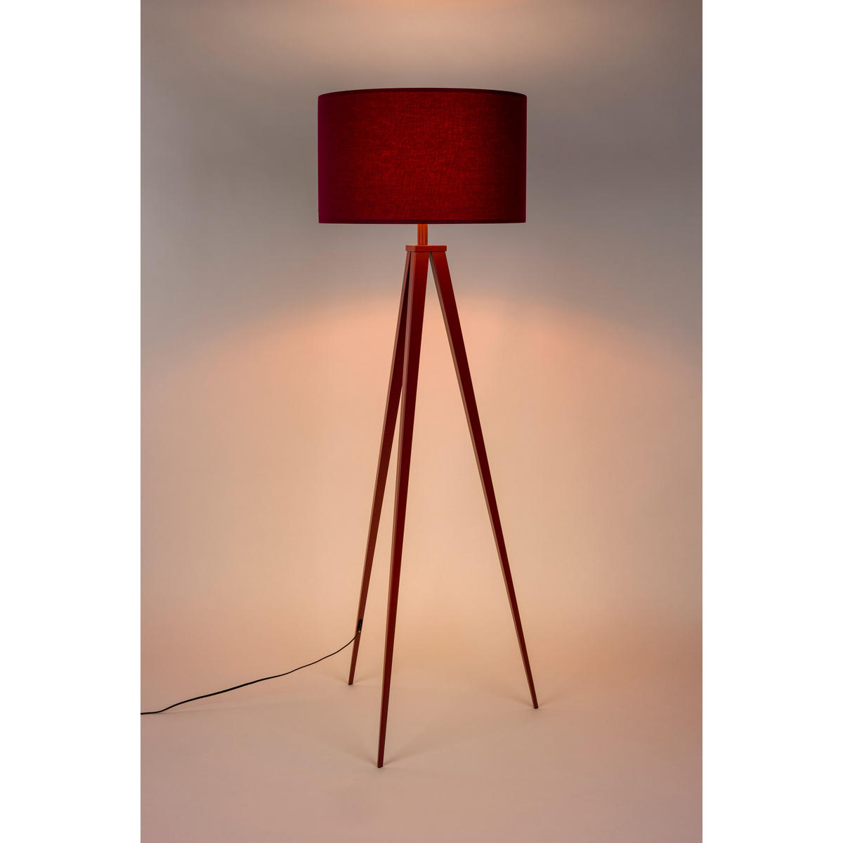 STEHLAMPE Tripod Rot - Rot, Metall (50/50/157cm) - Zuiver