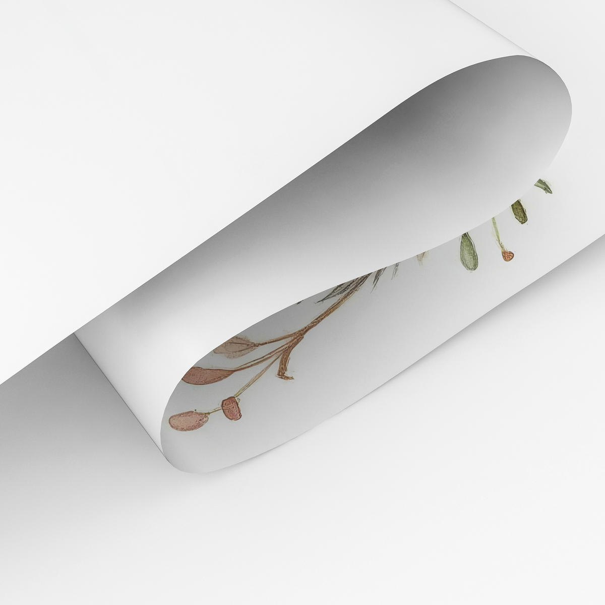 POSTER SET ohne Rahmen für Kinder WALDTIERE Blumen Pflanzen 3x Poster A4 21x30cm - Gelb/Beige, Papier (21/30/1cm) - Muralo