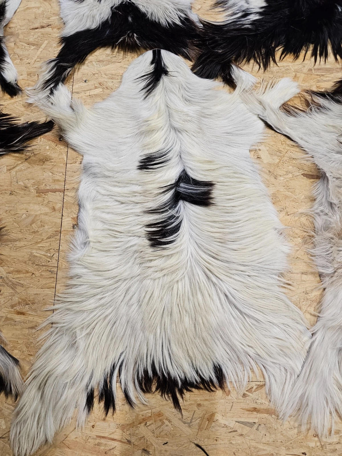 FELL Ziegenfell Schwarz-Weiß Naturfarben Teppich ca. 90 cm 1.Wahl - Schwarz/Weiß, Fell (50/90cm) - Provellus