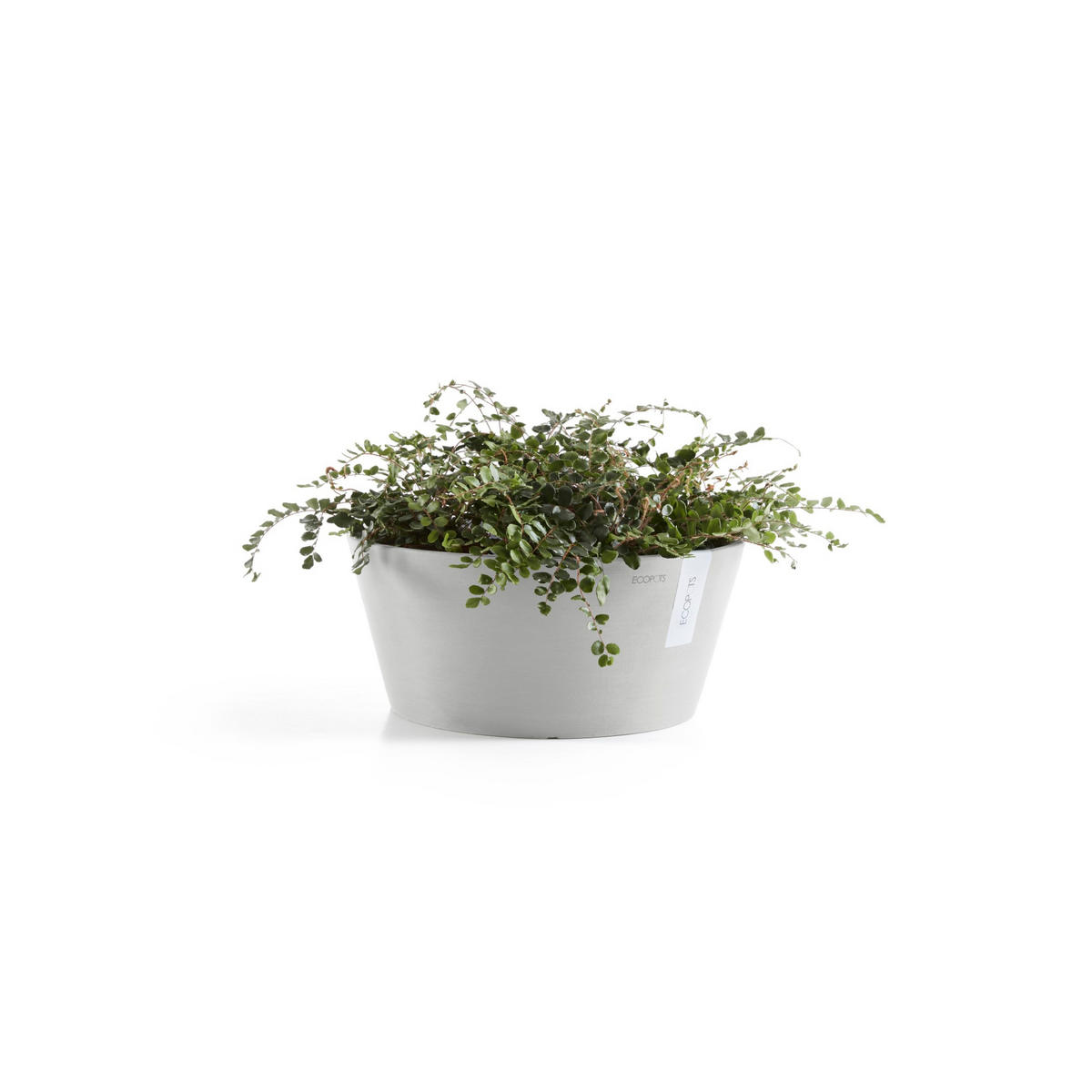 BLUMENTOPF Frankfurt 50/25,7 cm Hellgrau - Hellgrau, Kunststoff (41/17.8cm) - Ecopots
