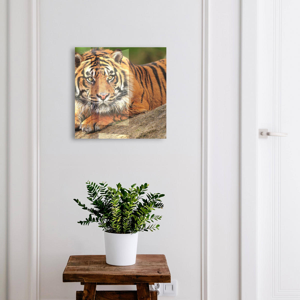 SCHLÜSSELBOX Schwarz 30x30 cm- Türöffnung nach rechts - Tiger ruht - Orange, Metall (30/30/5cm) - TULUP