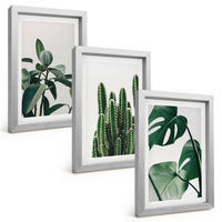 BILDER SET 3er Set - 20x30 cm Silberner Rahmen - Tropische ästhetische Pflanzen - Silberfarben, Kunststoff (20/30cm) - TULUP