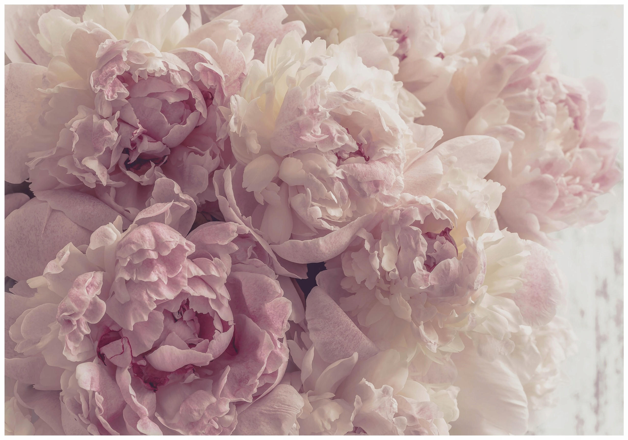 FOTOTAPETE Blumen Schlafzimmer 400x280 - Multicolor, Papier (400/280cm) - Wallarena