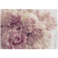 FOTOTAPETE Blumen Schlafzimmer 400x280 - Multicolor, Papier (400/280cm) - Wallarena
