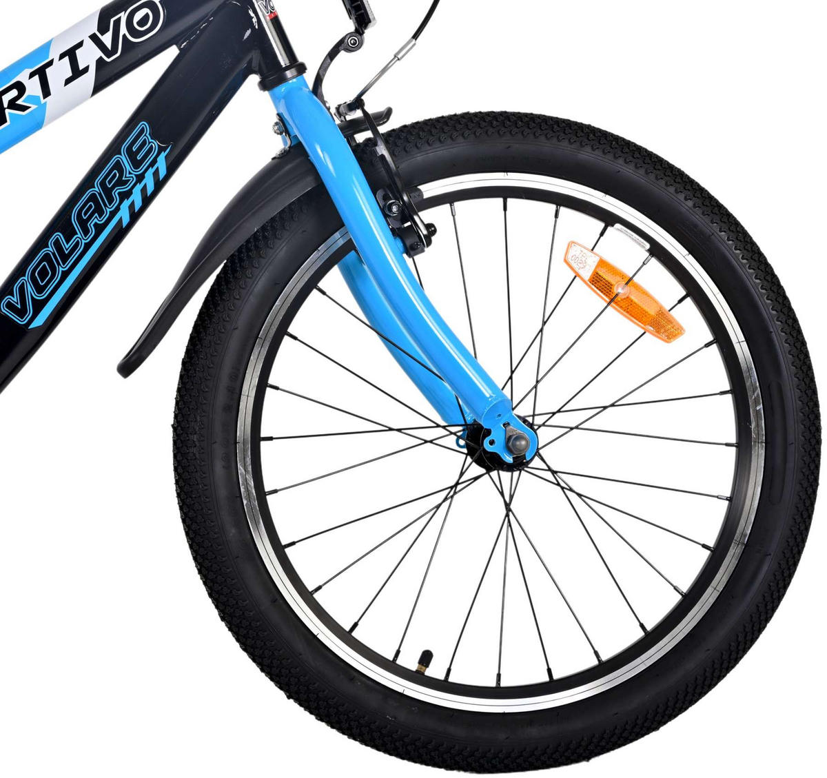 KINDERFAHRRAD Sportivo - Jungen - 20 Zoll - Rücktritt + Handbremse - Blau - Blau, Metall (60cm) - TPFSports