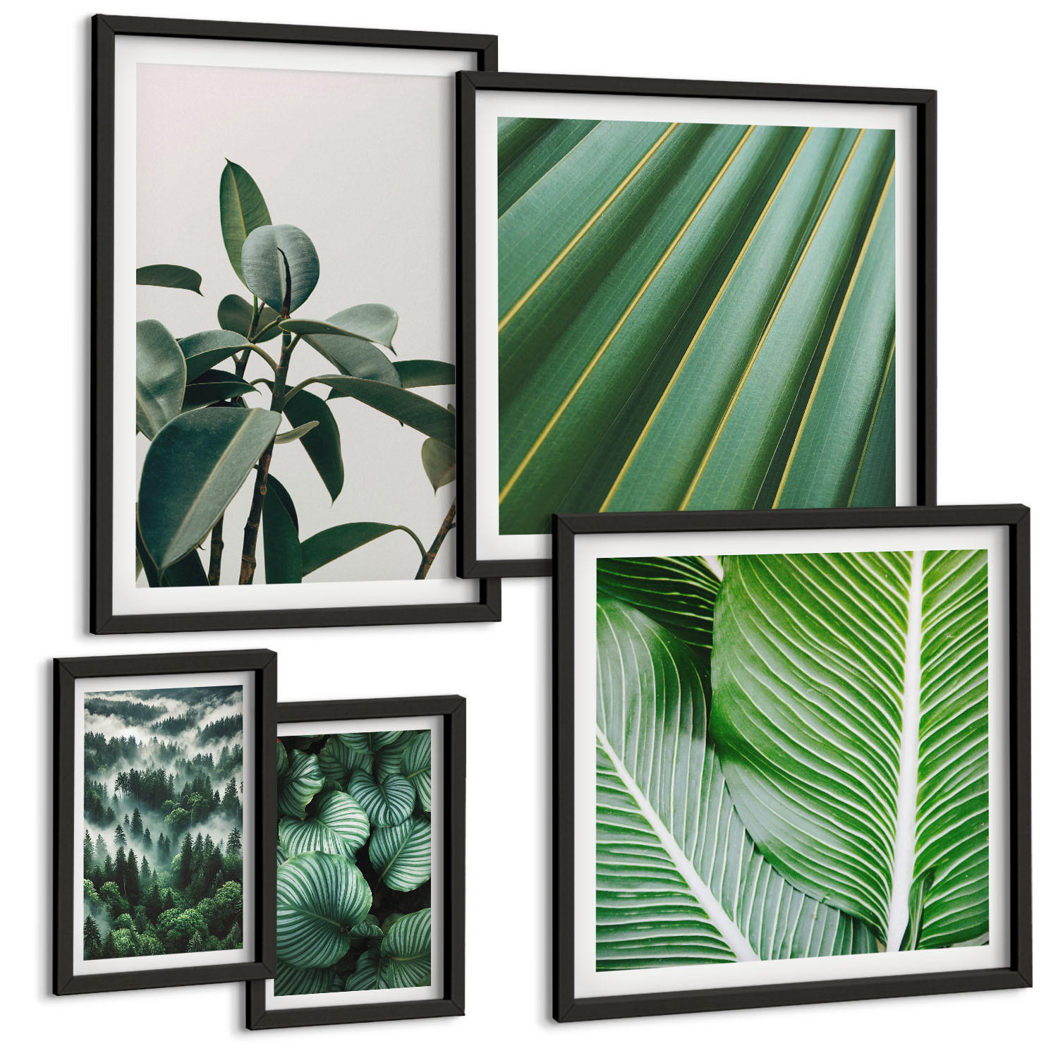 BILDER SET 5er Set - 50x50 cm & 20x30 cm & 40x60 cm Schwarzer Rahmen - Tropische Blätter in Grün - Schwarz, Kunststoff (40/60cm) - TULUP