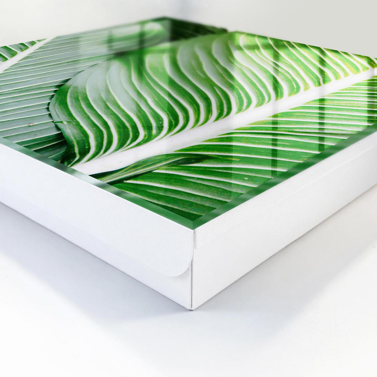 SCHLÜSSELBOX Weiß 30x30 cm – Türöffnung nach rechts - Das Grün der Natur - Grün, Metall (30/30/5cm) - TULUP