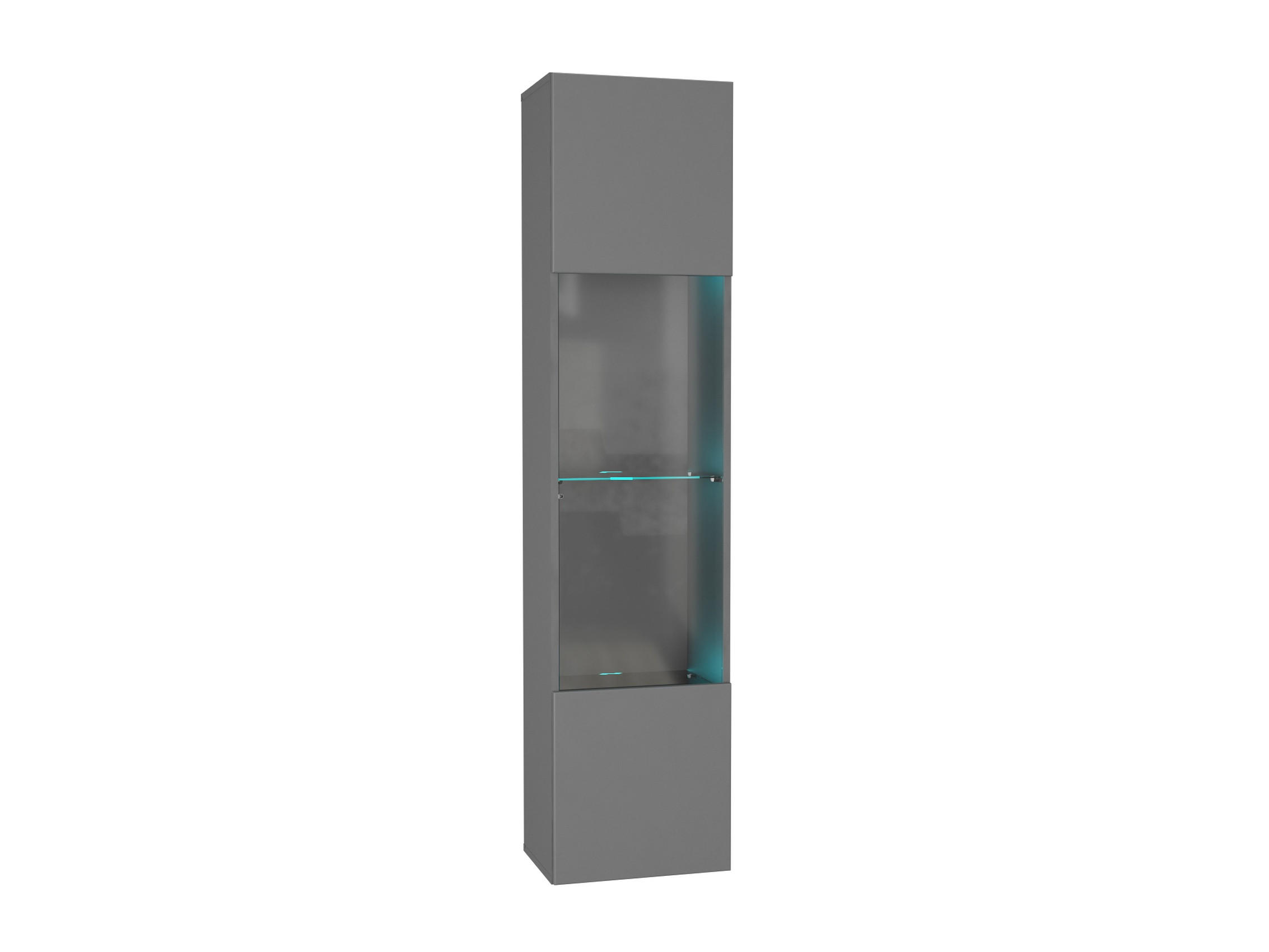 HÄNGESCHRANK Graphitgrau 40/170/29 - Grau, Holzwerkstoff (40/170/29cm) - RAUMHIRSCH FURNITURE