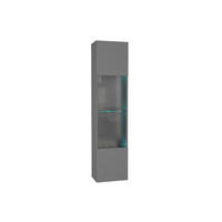 HÄNGESCHRANK Graphitgrau 40/170/29 - Grau, Holzwerkstoff (40/170/29cm) - RAUMHIRSCH FURNITURE