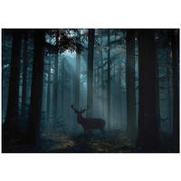 FOTOTAPETE Wald Reh Grün 400x280 cm - Multicolor, Papier (400/280cm) - Wallarena