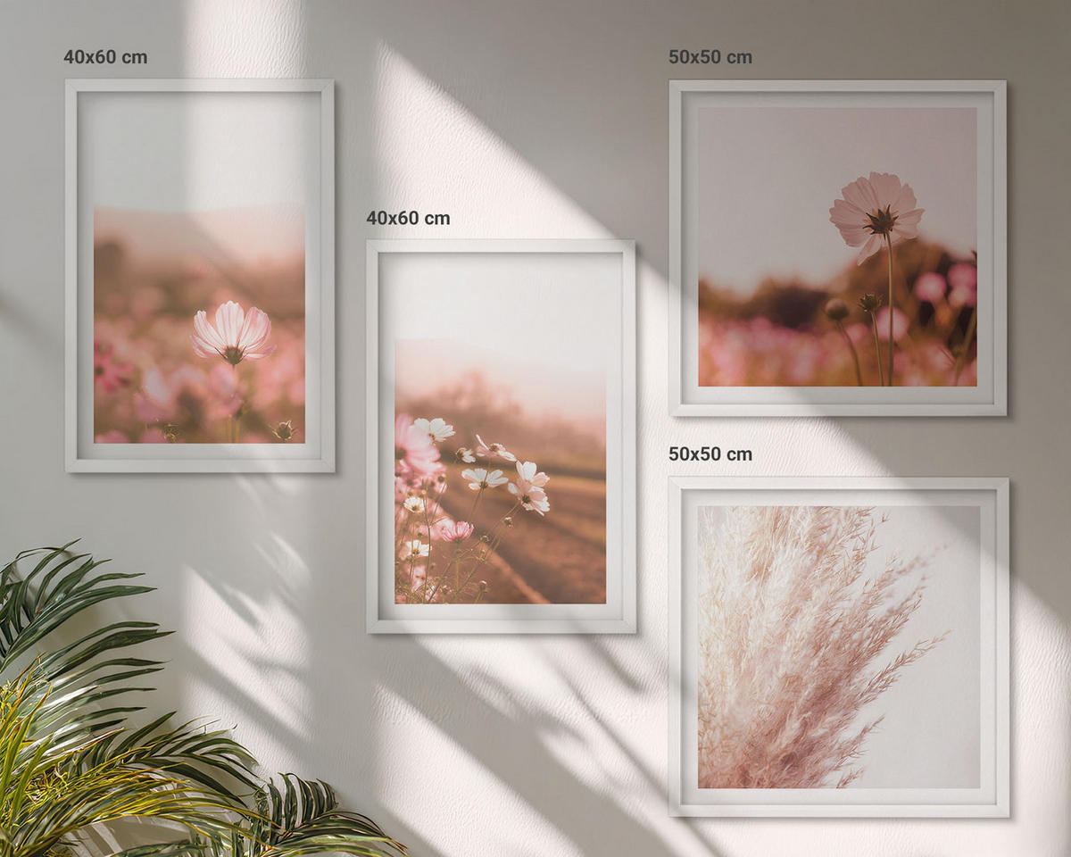 BILDER SET 4er Set - 50x50 cm & 40x60 cm Weißer Rahmen - Wildblumen auf den Wiesen im Sommer - Weiß, Kunststoff (50/50cm) - TULUP