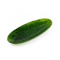 SERVIERPLATTE Aria Fresh Grün 9x25x2 cm Glas - Grün, Glas (25/2/9cm) - Mondex