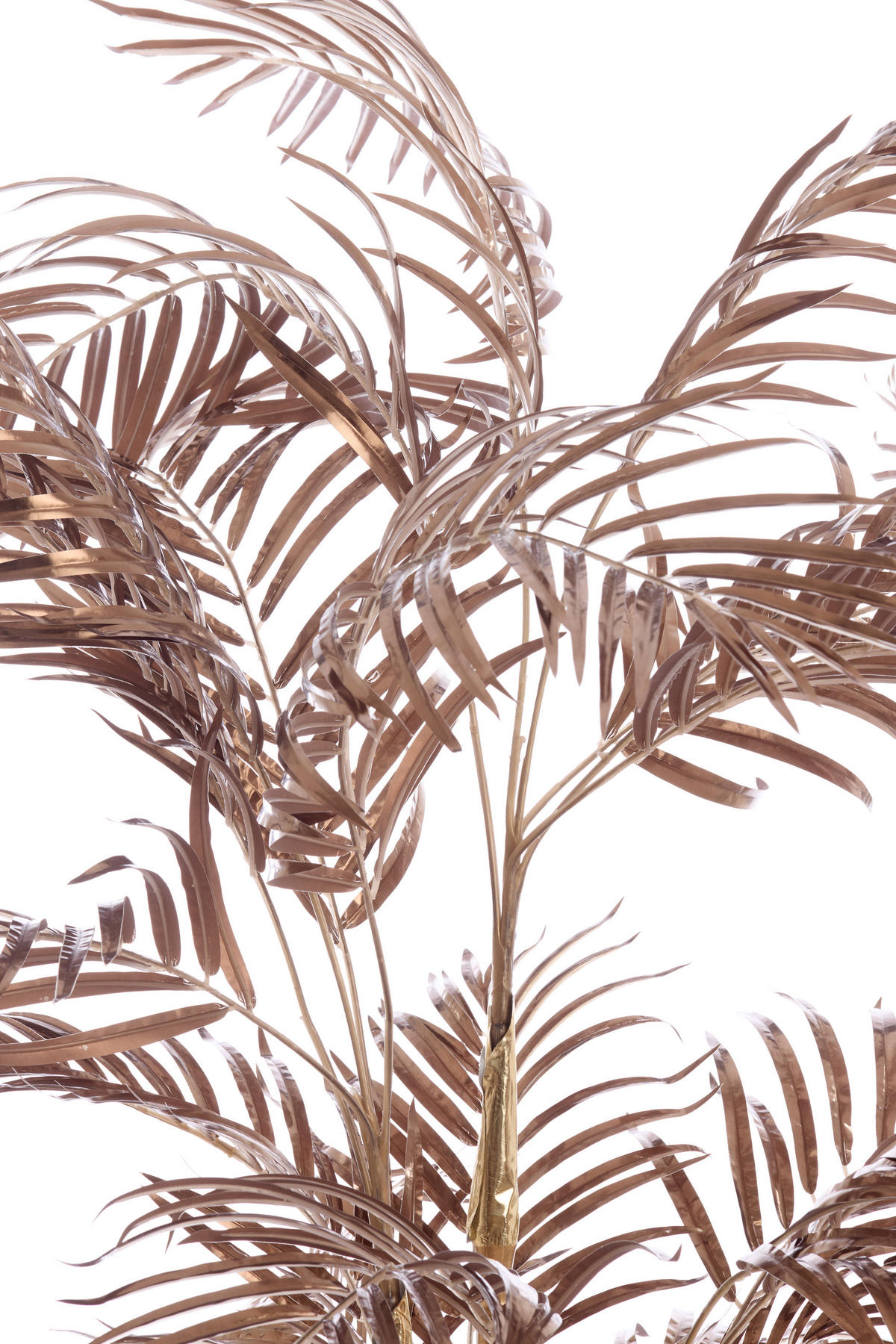 TOPF Palme Bronze 145/135/135 cm - Bronzefarben, Kunststoff (135cm) - Light & Living