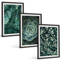 BILDER SET 3er Set - 40x60 cm Schwarzer Rahmen - Sukkulenten - Schwarz, Kunststoff (40/60cm) - TULUP