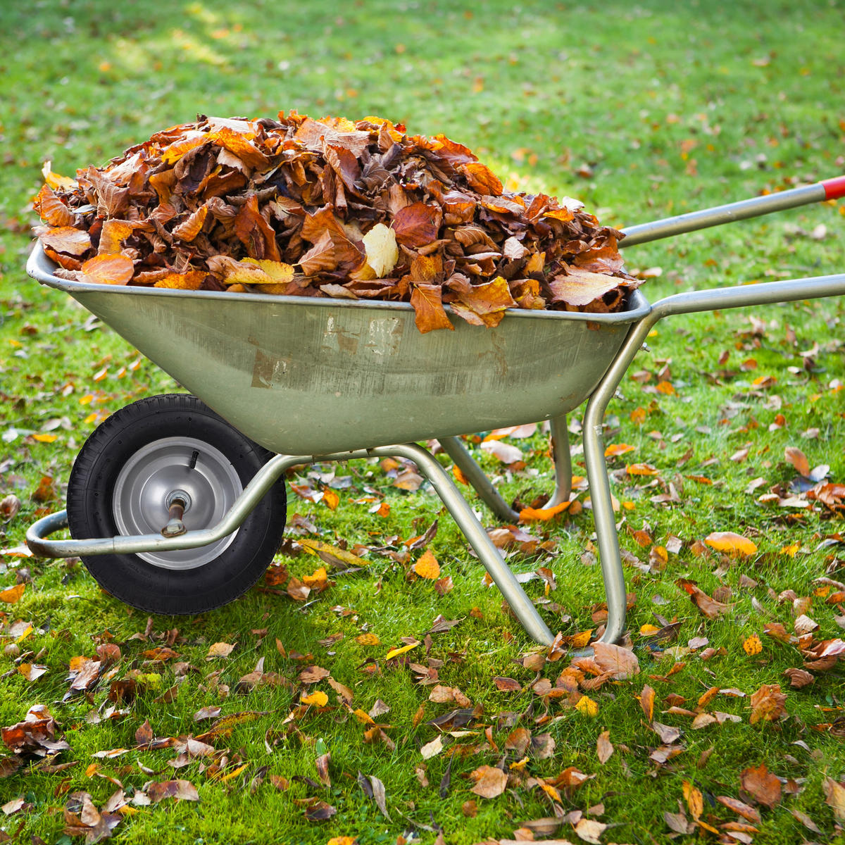 SCHUBKARRENRAD - Multicolor, Kunststoff/Metall (39/9/39cm) - Relaxdays