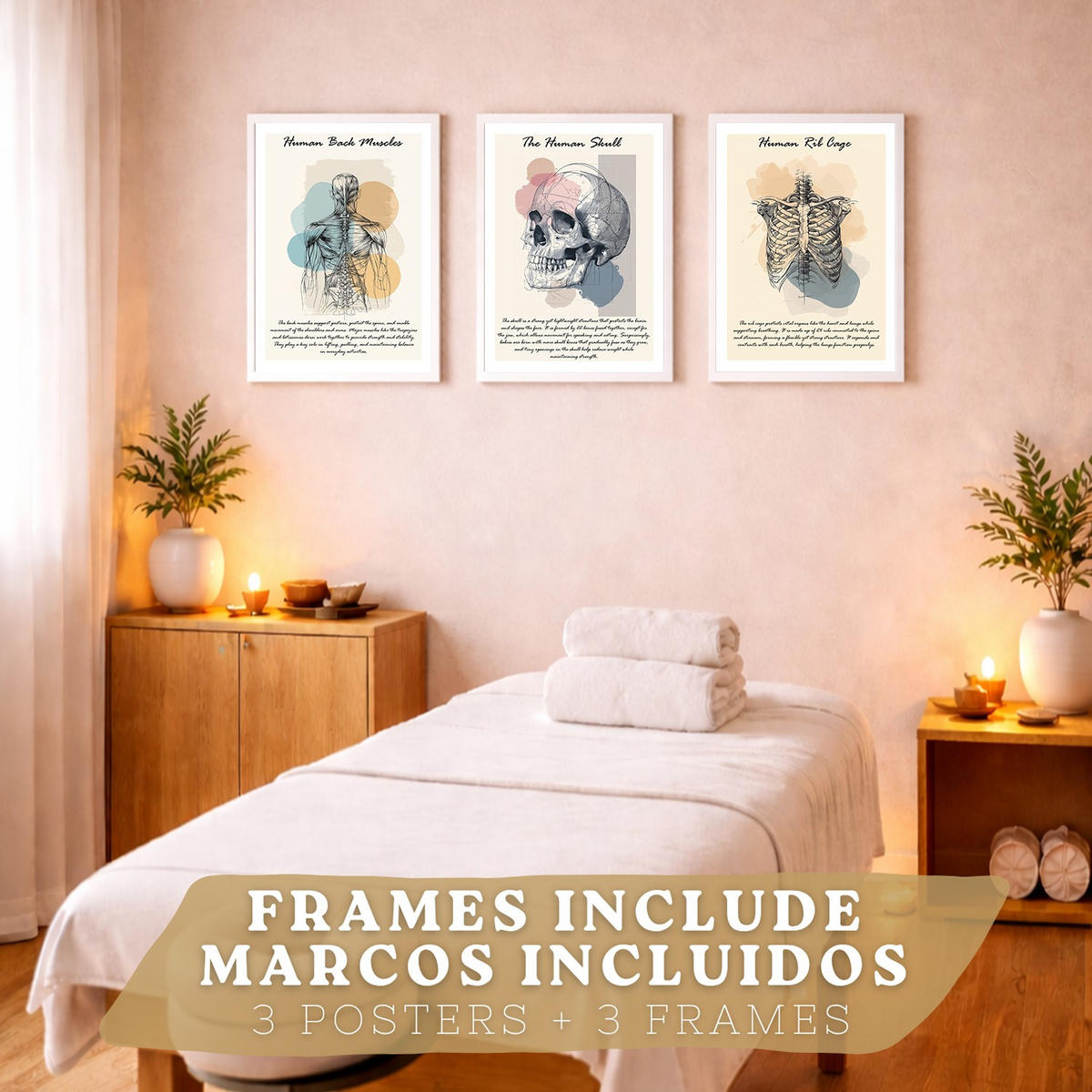 POSTER Set aus 3 Anatomie Mensch Lernposter Drucke und Wandbilder mit Muskeln Rücken Brustkorb Schädel Wanddekoration Größe Weißer Rahmen A4 - Weiß, Papier (21/29.7/3cm) - Nacnic