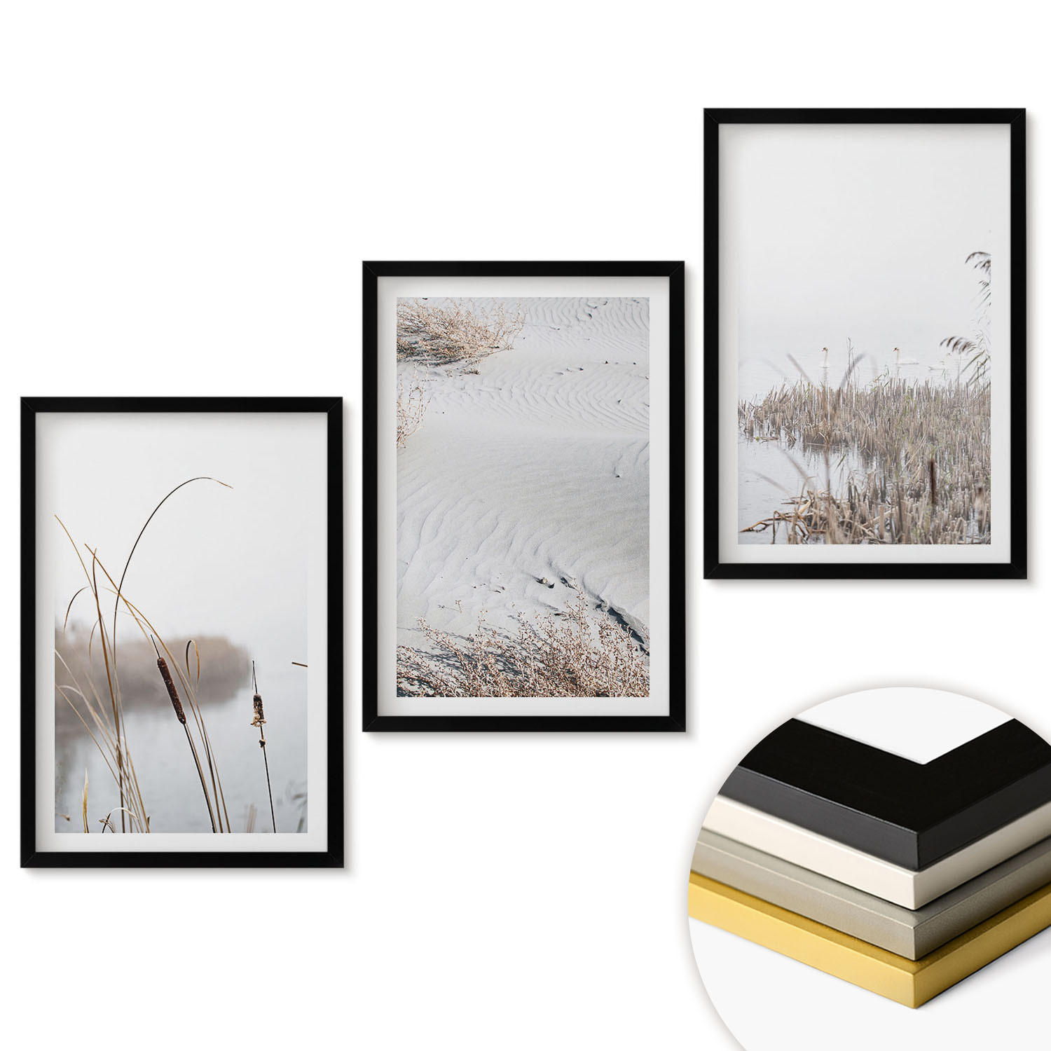 WANDBILDER 3er-Set - 40x60 cm Schwarzer Rahmen - Wasserpflanzen im Sommer - Schwarz, Kunststoff (40/60cm) - ArtPrintCave
