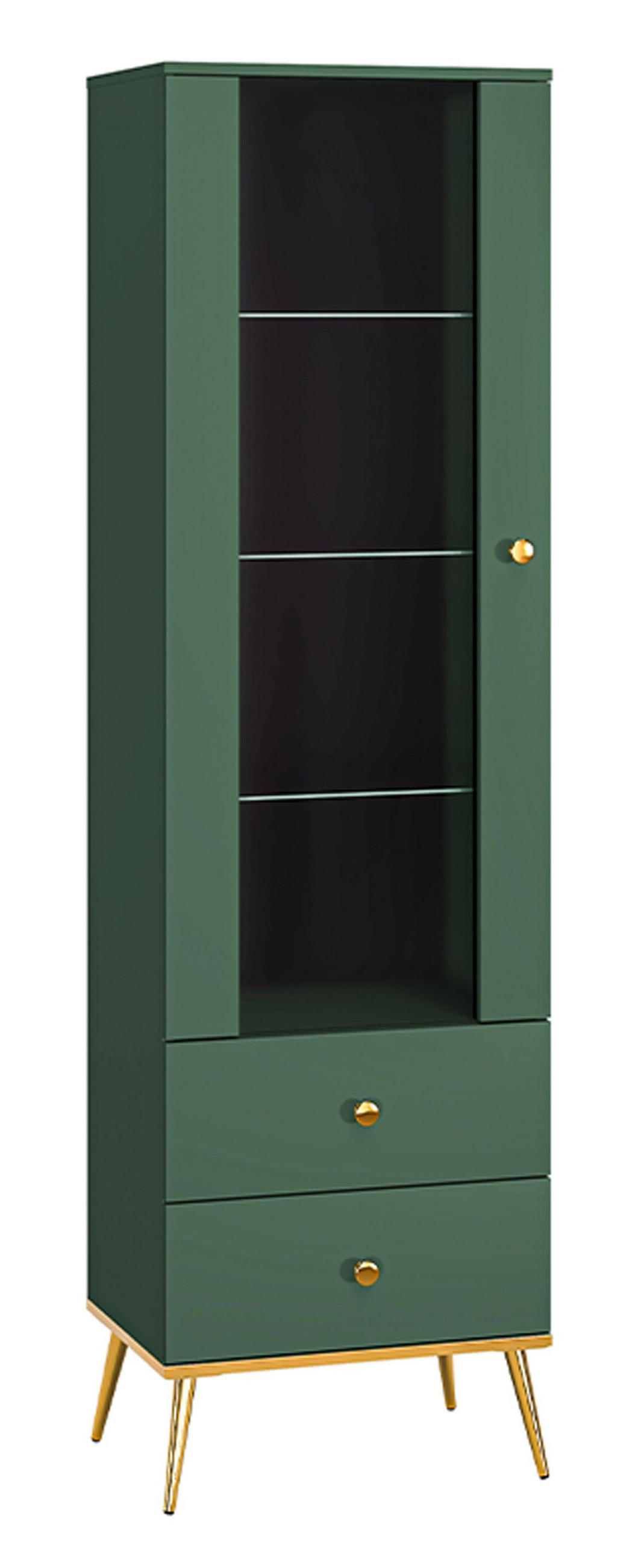 STANDVITRINE Forest dunkelgrün / gold 55 / 40 / 190cm - Dunkelgrün, Holz/Holzwerkstoff (55/190/40cm) - Feldmann-Wohnen