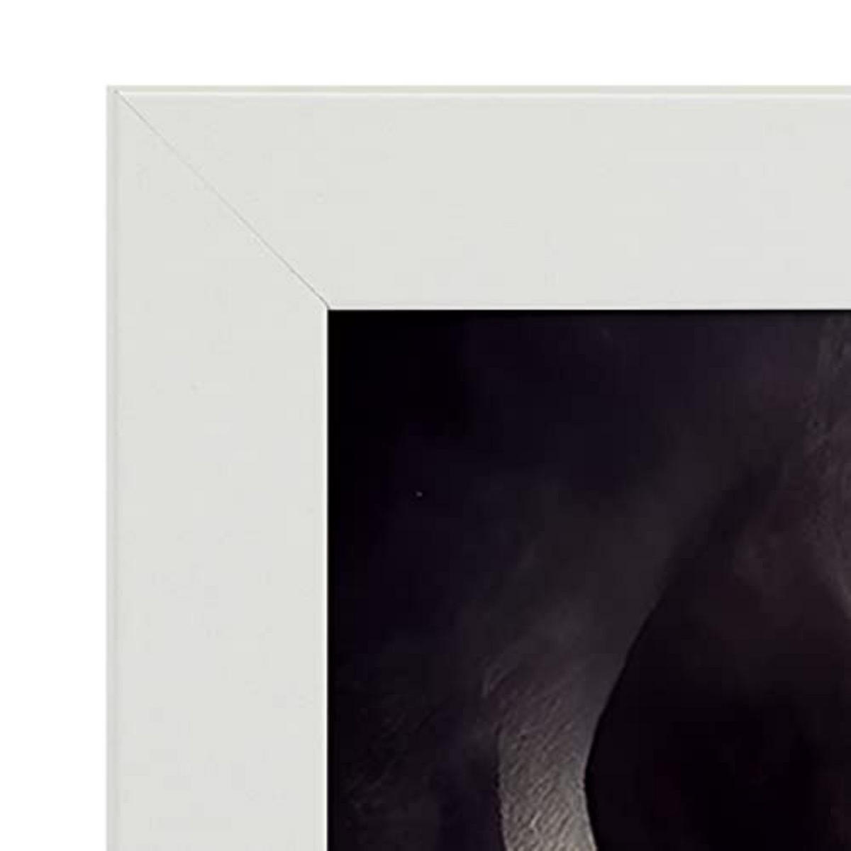 POSTER Set mit 4 Scheu Tier im T Burton Goth Stil A4 Weißer Rahmen - Weiß, Papier (29.7/3cm) - Nacnic