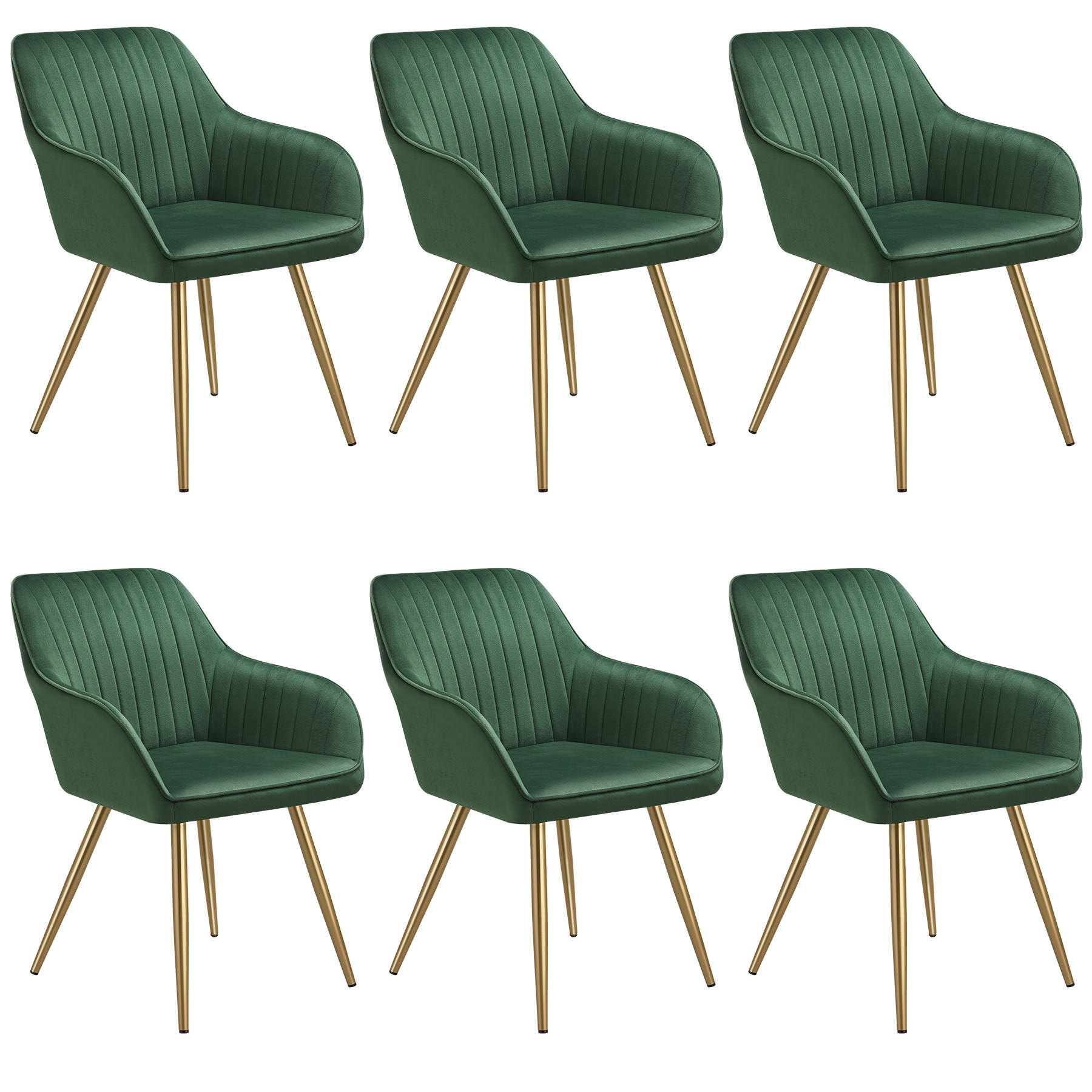 ESSZIMMERSTUHL 6er Set Marilyn 58 x 62 x 82 cm dunkelgrün/gold - Dunkelgrün/Goldfarben, Kunststoff (58/82/62cm) - tectake