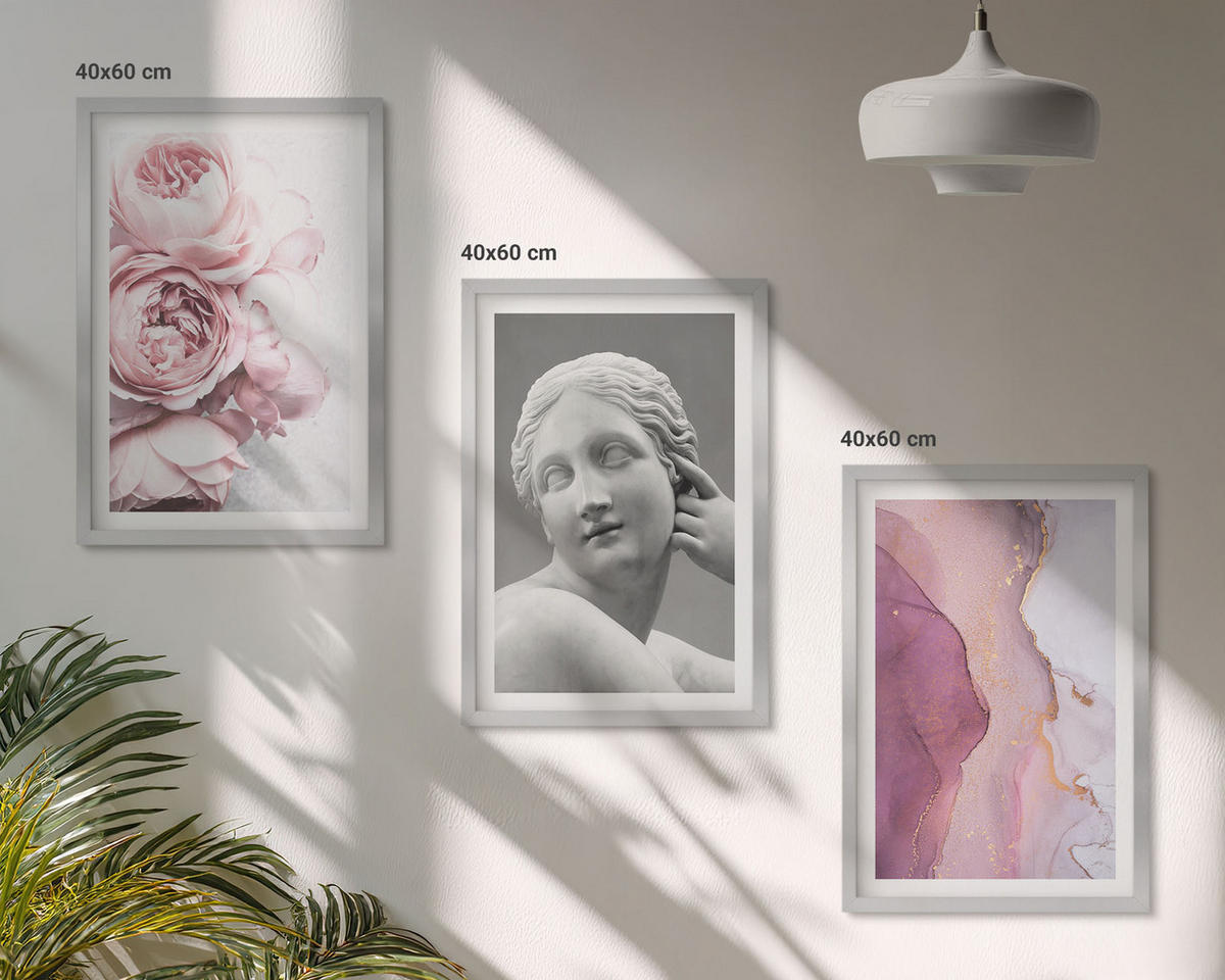 BILDER SET 3er Set - 40x60 cm Silberner Rahmen - Pfingstrosen abstrakte Frauenskulptur - Silberfarben, Kunststoff (40/60cm) - TULUP