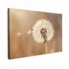 LEINWANDBILD Löwenzahn - Beige - Natur - Blume 150x100 cm - Hellbraun, Textil (150/100cm) - MuchoWow