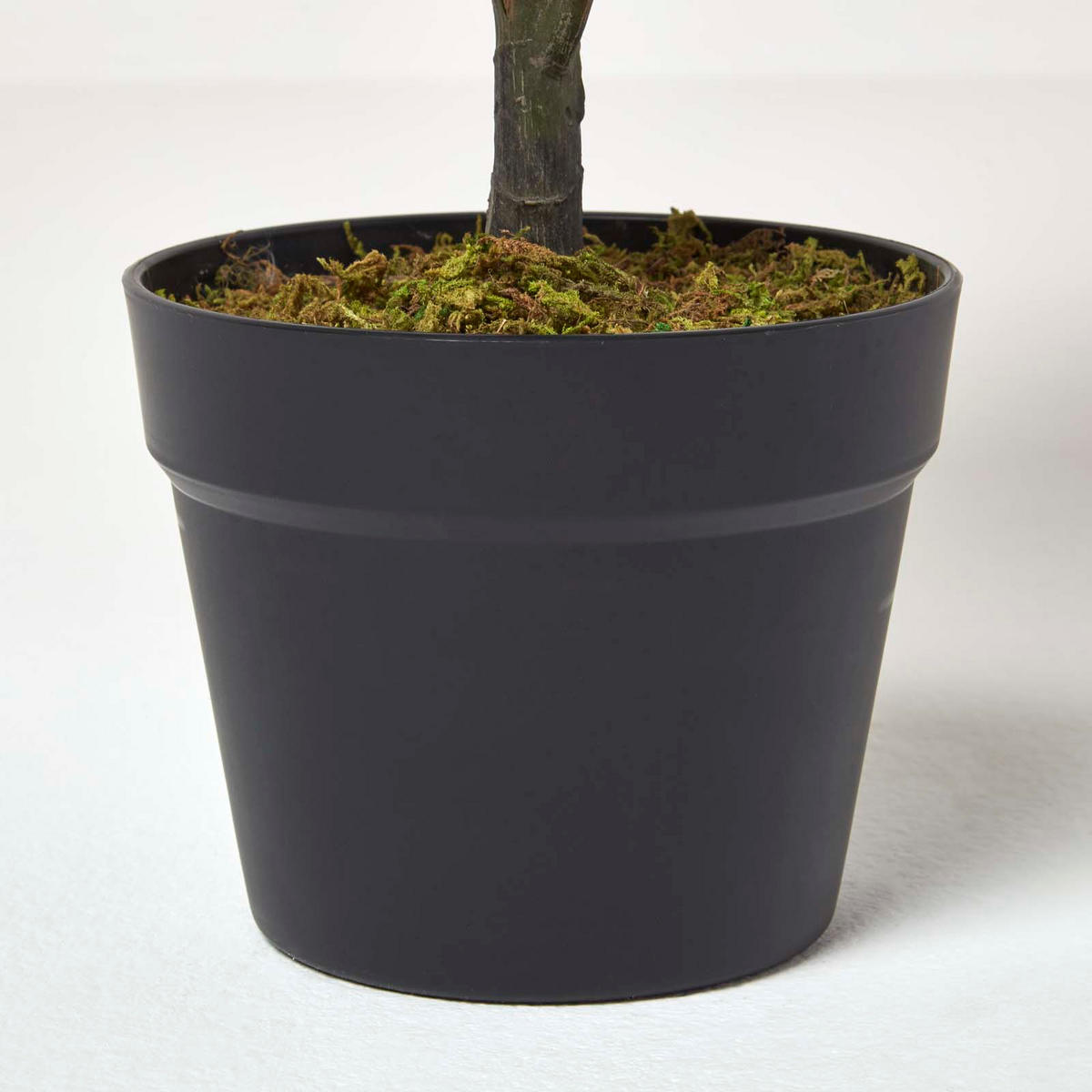 KUNSTPFLANZE Geigenfeige, 70 cm - Grün, Kunststoff (70cm) - Homescapes