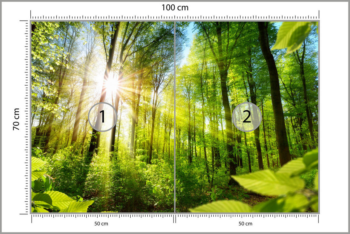 FOTOTAPETA Pre Obývaciu Izbu Východ Slnka Medzi Stromami Les 100 x 70 cm - žltá/zelená, papier (100/70cm) - Muralo