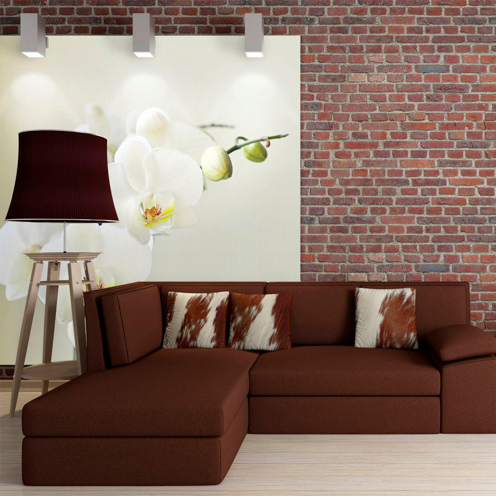 VLIESTAPETE Weiß 250/193 cm - Beige/Weiß, Textil (250/1cm) - KUNSTLOFT